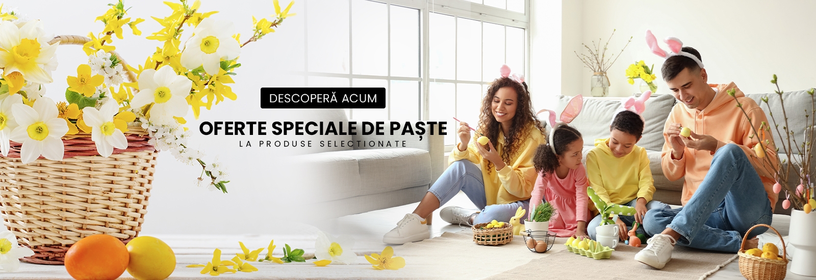 Oferte speciale